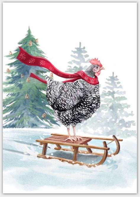 Sledding Chicken Christmas Card Set Barred Rock Hen On Sled W Red