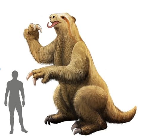 Five Ton Giant Sloth Lived In Costa Rica Seven Million Years Ago SloCo