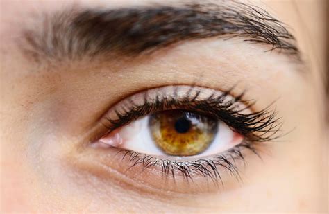 What Are Hazel Eyes And How Rare Are They 34 Hazel Eye Colors Facts 2023