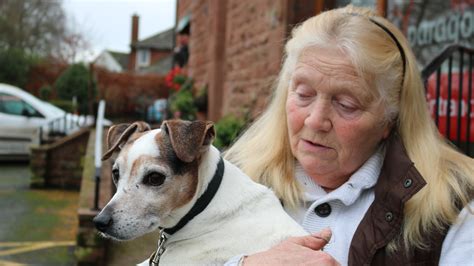 Cumbrian vet in need of more dog blood donors - here's how you can get