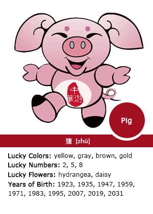 Therefore, one's chinese zodiac sign is determined by the year they were born in rather than by. Pig Chinese Zodiac Sign Symbolism