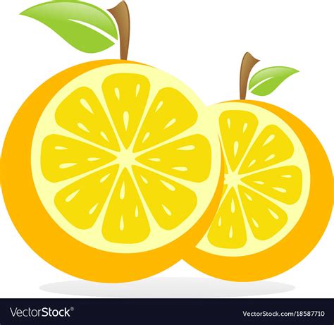 Orange Fruit Logo Royalty Free Vector Image Vectorstock