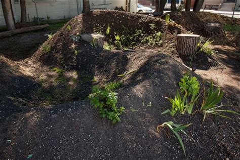How To Do Mound Gardening Or Hügelkultur