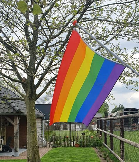 Regenboog Pride Vlag Bezorging in België Nederland 150 x 90 cm