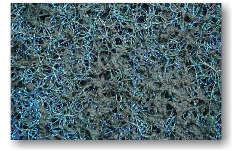 Hier nun also die liste der japan matte, die wir auf zahlreichen online shops gefunden haben. Koiratgeber.de-Filterung