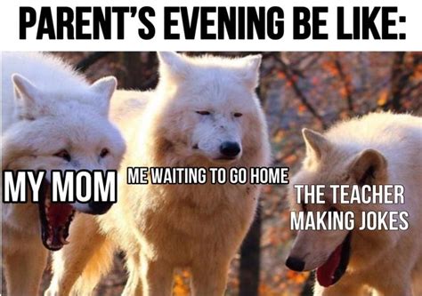 53 Wolf Puns That Are Actually Funny Livin3