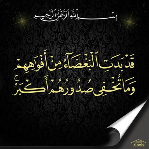 Laa taakhuzuhoo sinatunw wa laa nawm i swear by that being in whose hands and control is my life, that this ayat has one tongue and two lips. ١٨٦- آل عمران | Arabic calligraphy, Quran, Calligraphy