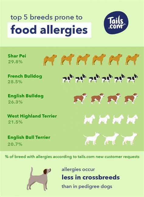 Does My Dog Have A Food Allergy The Inside Scoop