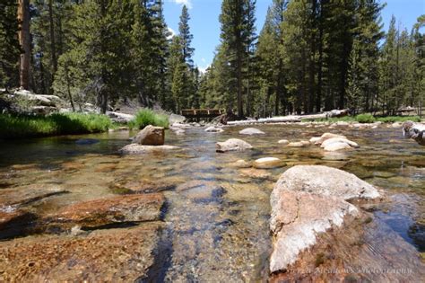 Three Days In Tuolumne Meadows Lyell Canyon And Vogelsang Loop The