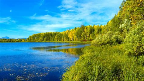 Nature Landscape Summer Lake Forest Grass Wallpapers For