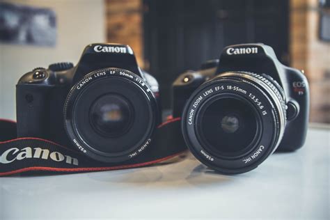 DSLR vs Mirrorless: Which is right for you?