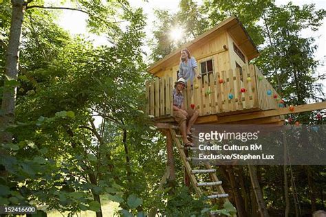 Man Ladder Treehouse Photos And Premium High Res Pictures Getty Images