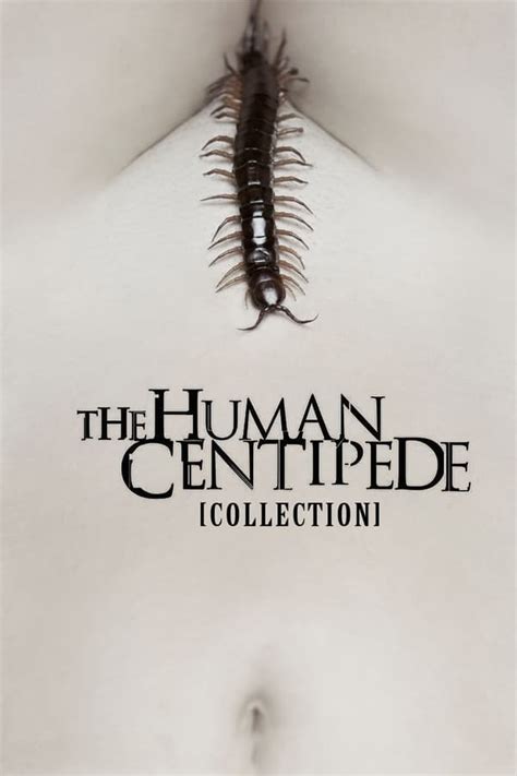 the human centipede collection — the movie database tmdb
