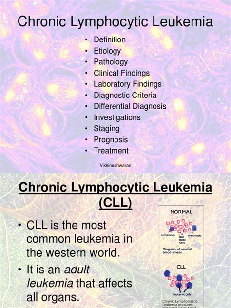 Chronic Lymphocytic Leukemia Cll Leukemia B Cell