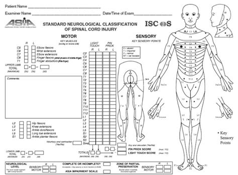 Asia Score Chart Spinal Cord Injury Spinal Injury Spinal