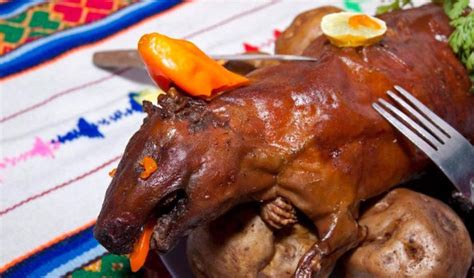 Các Món Nhậu đặc Sản Từ Thịt Chuột Hamster ở Peru Giáo Dục Việt Nam