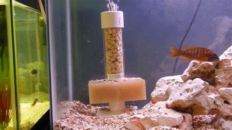 home  diy sponge filter  aquarium  fish tank peacock cichlids