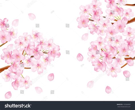 Cherry Tree White Background Stock Vector Royalty Free 132566858