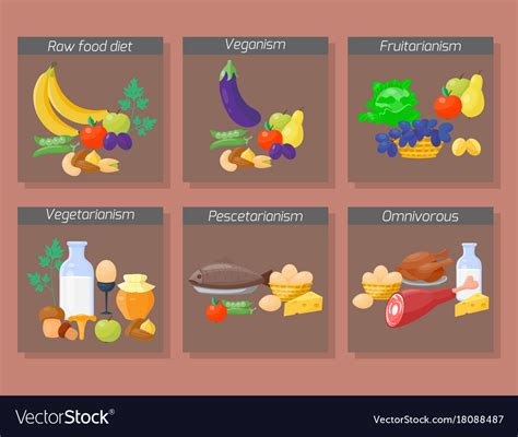 Food Diet Types Healthy Royalty Free Vector Image