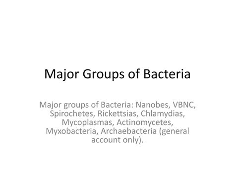 Solution Major Groups Of Bacteria Studypool