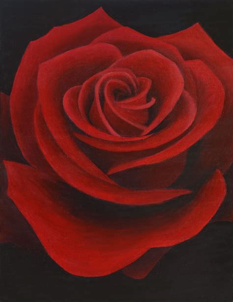 Deep Red Rose Painting Art Lovers Australia