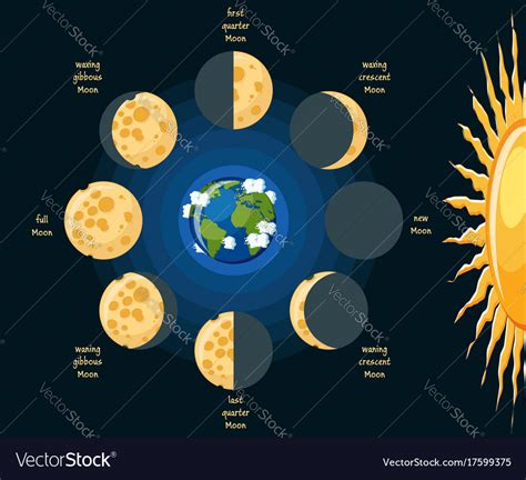 Moon Phases Royalty Free Vector Image Vectorstock