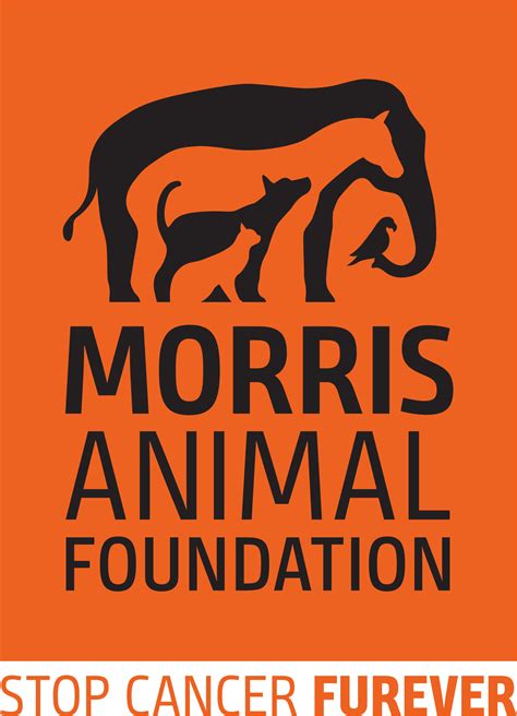 Morris Animal Foundation Stop Cancer Furever