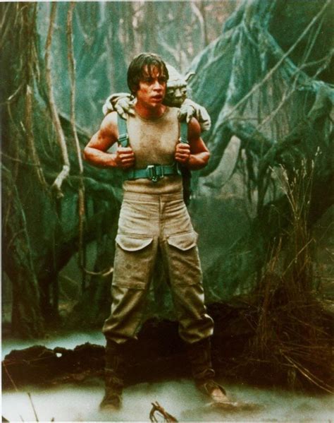 Mark Hamill On The Dagobah System Set Star Wars Luke Classic Star