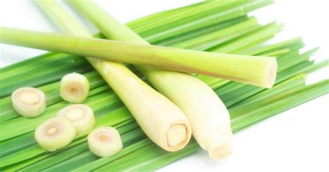 Lemongrass spa products is a proud member of the direct selling association and abides by their code of ethics.code of ethics. How to Freeze Lemongrass Throughout the Year