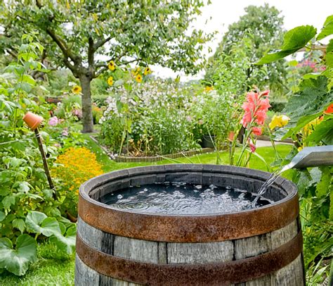 They help you to keep your water free of impurities and diseases, keep the mosquitoes out, gauge the water level, filter the incoming water and more. Rainwater Catchment: Is Rainwater Harvesting Worth It ...
