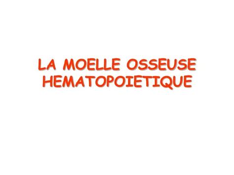 Ppt La Moelle Osseuse Hematopoietique Powerpoint Presentation Free