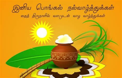 Here are few good pongal wishes in tamil that would be useful for you on the occasion of makar sankranti. Happy pongal images wishes tamil pics photo with message ...