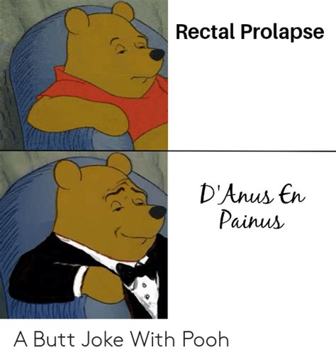 Rectal Prolapse Danus En Painus A Butt Joke With Pooh Butt Meme On Meme