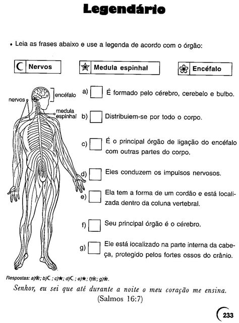 Exercícios Sobre Sistemas Do Corpo Humano 6 Ano Com Gabarito