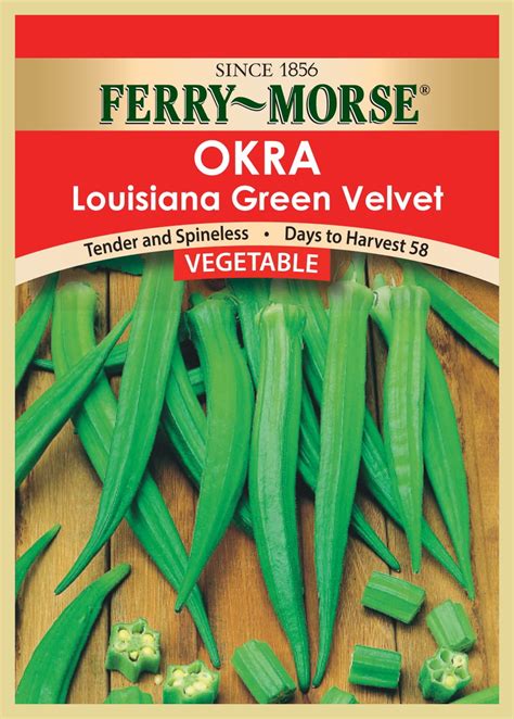 Ferry Morse Okra Louisiana Green Velvet