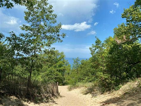 Indiana Dunes Trail 8 To Trail 4 Loop Indiana Alltrails
