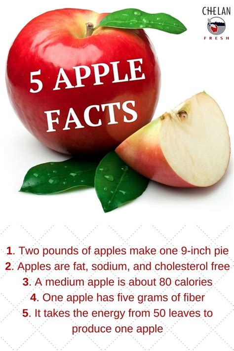 Apples 5 Apple Facts Apple Facts Apple Apple 5