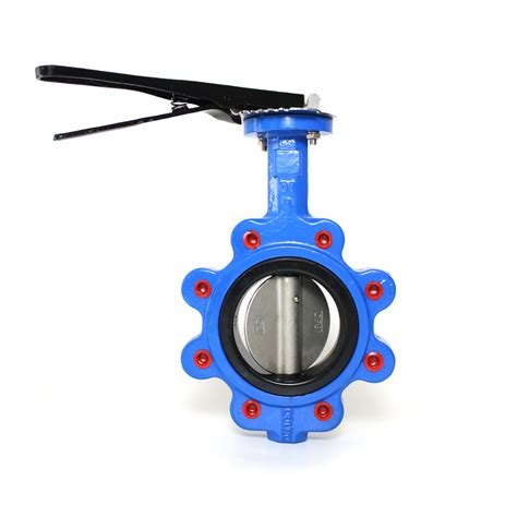 What Is The Structure Of The Lug Butterfly Valve