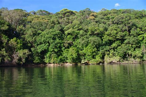 Parque de Superagui é surpresa do litoral do Paraná