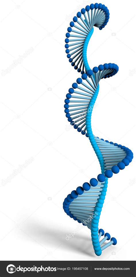 Adn Ácido Desoxirribonucleico Una Hilo Como Cadena Nucleótidos Que