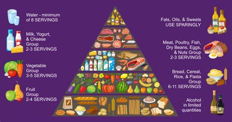 Food Pyramid Explanation Allmenus