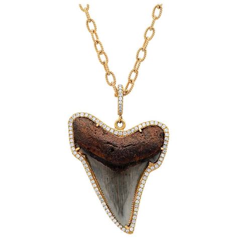 Shark Tooth Necklace For Sale On 1stdibs Gold Shark Tooth Necklace