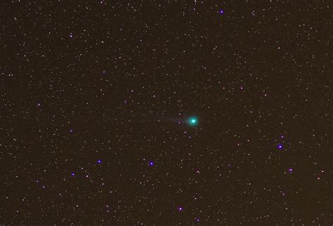 Comet Lovejoy Comet Lovejoy Taken With My Canon 7d And 50m Flickr