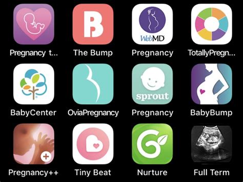 10 Best Pregnancy Apps For Your Iphone — The Organized Mom Life