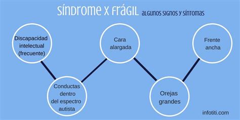 Síndrome De X Frágil Principales Características