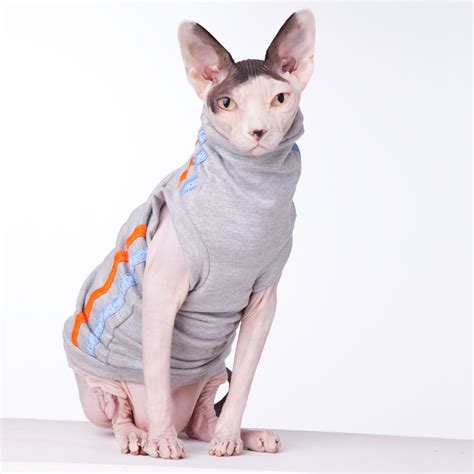 Track Suit Sphynx Cat Wear