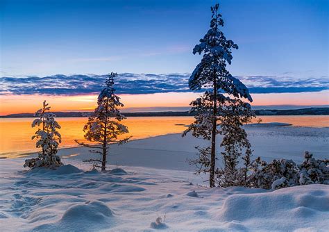 Hd Wallpaper Winter Snow Trees Sunset Lake Sweden Varmland