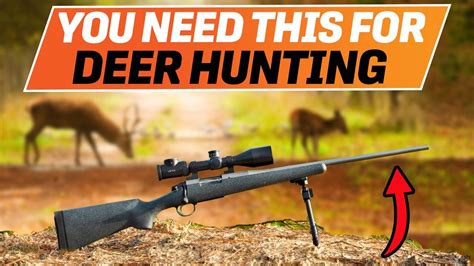 Best Deer Rifle 2024 Who Is The New 1 Youtube