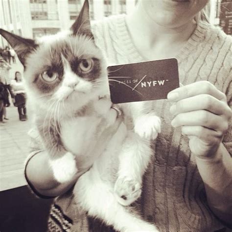 Grumpy Cat In The Fashion Week In New York 2013 Grumpycat Photo For