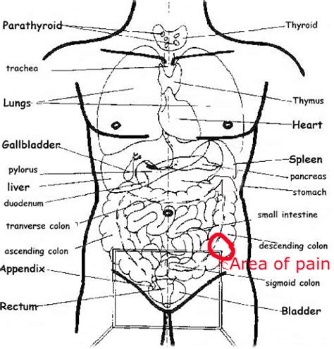 Sharp Pain In Lower Left Abdomen